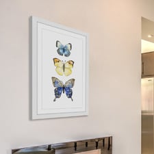 Three Butterflies Wall Art