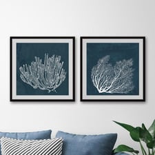 2 Piece Tropical Corals Framed Printed Wall Art Set