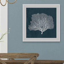 Sea Fan Coral Framed Printed Wall Art