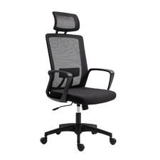 Nyle Ergonomic Office Chair