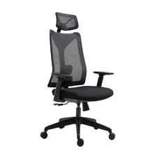 Tamia Ergonomic Office Chair