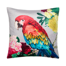 Chintz Parrot Square Velvet Cushion