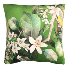 Daylesford Velvet Cushion