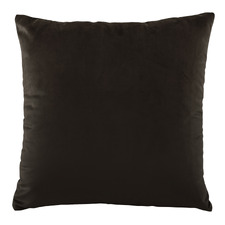 Vivid Velvet  Cushion
