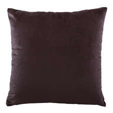 Vivid Velvet  Cushion