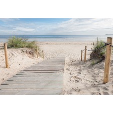 Beach Path Canvas