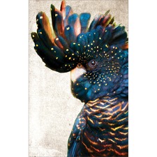 Black Cockatoo Side Grunge Printed Wall Art