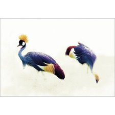 Grey Crowned Cranes Canvas Wall Art