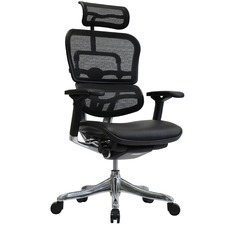 Ergohuman Leather & Mesh V2 Plus Deluxe Office Chair