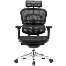 Ergohuman V2 Plus Deluxe Mesh Office Chair