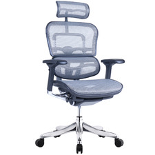 Ergohuman Plus Elite V2 Mesh Office Chair