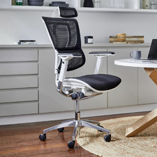 Ergohuman Premium Fit IOO High Back Office Chair Aluminium Base