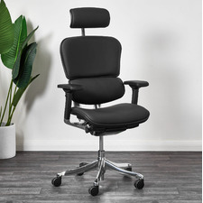 Ergohuman Plus Elite V2 Full Leather Office Chair
