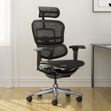 Ergohuman Ultra Mesh Office Chair