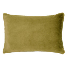 Evora Velvet Cushion