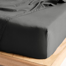 Augusta 500TC Cotton Fitted Sheet