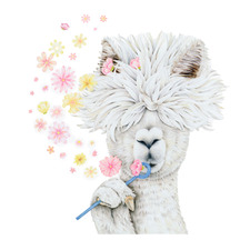 Alpaca With Flowers Wall Decal