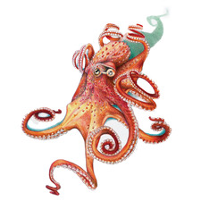 Giant Pacific Octopus Wall Decal