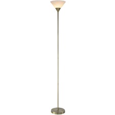 Lexi Shae Stainless Steel Floor Lamp