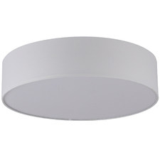 50cm Montmorency Oyster Light