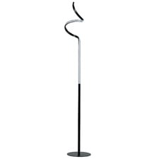 Joane Black & Chrome Iron Floor Lamp