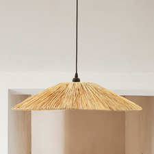 Monty Iron Pendant Light
