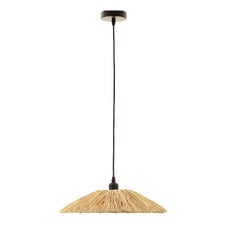 Monty Iron Pendant Light