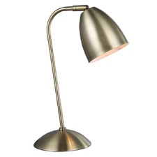 Dilabra Metal Adjustable Desk Lamp