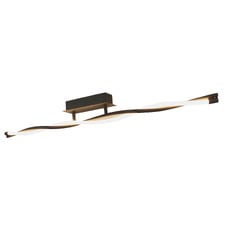 Boyer Metal LED Ceiling Light