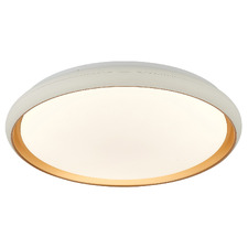 Aurora 40cm Round LED Oyster Light