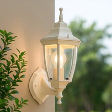 Luke Outdoor Wall Light