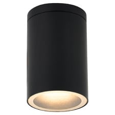Declan Outdoor Ceiling Light