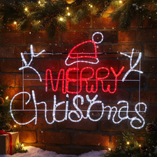 Nyra LED Christmas Light Display