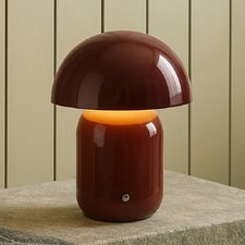 Wanika Iron & Acrylic LED Touch Table Lamp