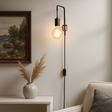 Lloyd Metal Gooseneck Wall Light