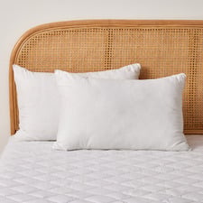Japara Cotton Standard Pillows (Set of 2)