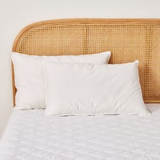 Duck Feather & Down Standard Pillows (Set of 2)