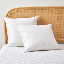 Goose Feather & Down European Pillows (Set of 2)