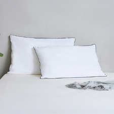 Albert Low Profile Firm Standard Pillows (Set of 2)