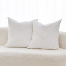 Avery Duck Feather Square Cushion Inserts (Set of 2)
