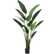 183cm Potted Faux Bird Of Paradise Plant