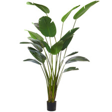 244cm Giant Potted Faux Bird Of Paradise Plant