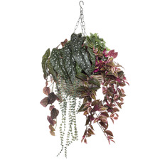92cm Faux Ferns in Hanging Rattan Bowl