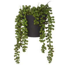 23cm Potted Faux String Of Pearls Plant