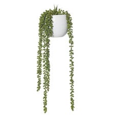 66cm Potted Faux Hanging Pearls Plant