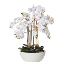 83cm Potted Faux Butterfly Orchid Plant