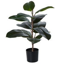 62cm Potted Faux Rubber Tree