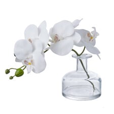8cm White Faux Phalaenopsis with Glass Vase
