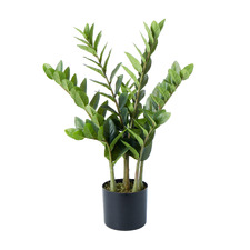 60cm Potted Faux Zanzibar Gem Plant