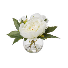 22cm White Faux Peony with Glass Vase